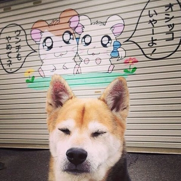 “青春领跑”青少年篮球新秀训练营在天津落地,天津青年篮球队